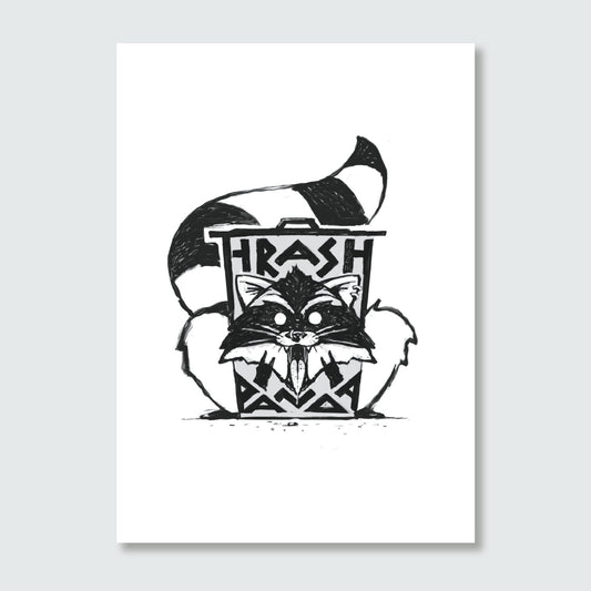 Postcard — Raccoon