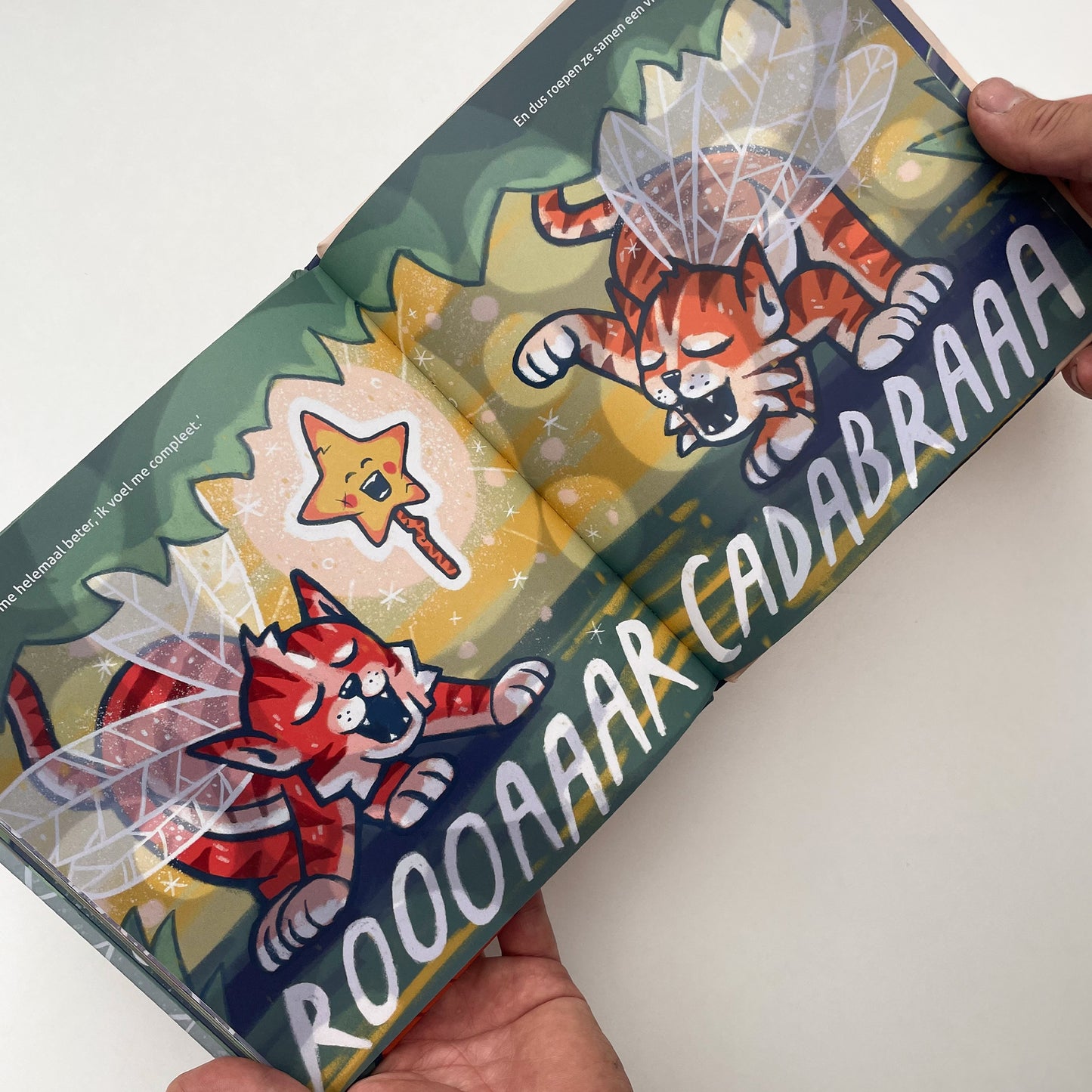 Kinderboek — Defo tovert zó!